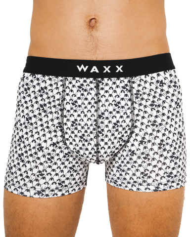 Boxer "White Pinguins"