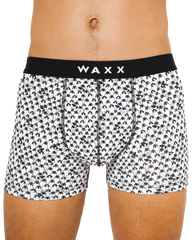 Boxer "White Pinguins"