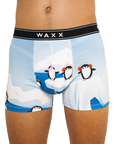 Boxer "Arctic"
