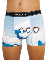 Boxer "Arctic"