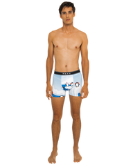 Boxer "Arctic"
