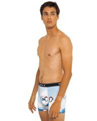 Boxer "Arctic"