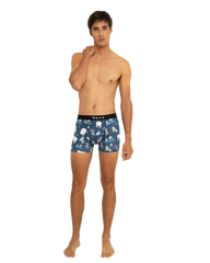 Boxer "Sylvestre"