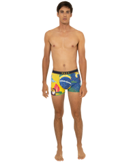 Boxer "Brazil"