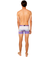 Boxer "Lavande"