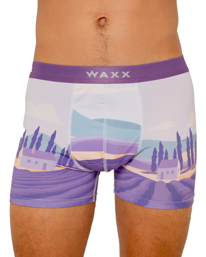 Boxer "Lavande"
