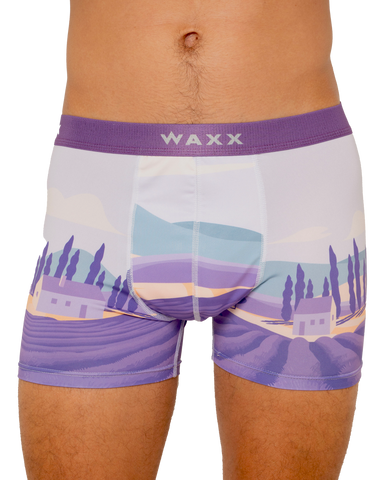 Boxer "Lavande"