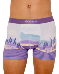 Boxer "Lavande"