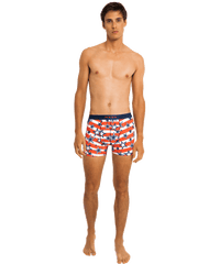 Boxer "America"