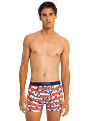 Boxer "America"