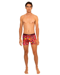 Boxer "Pinkiss"