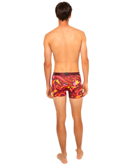 Boxer "Pinkiss"
